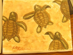 Turtles by Kit R.